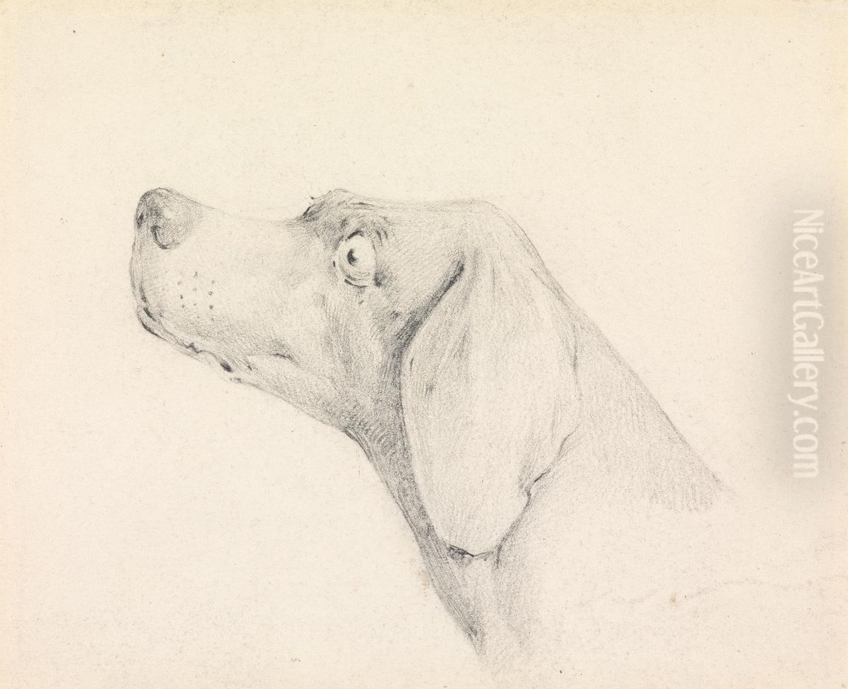 Head of a Pointer, in Profile Left Oil Painting by Henry Thomas Alken