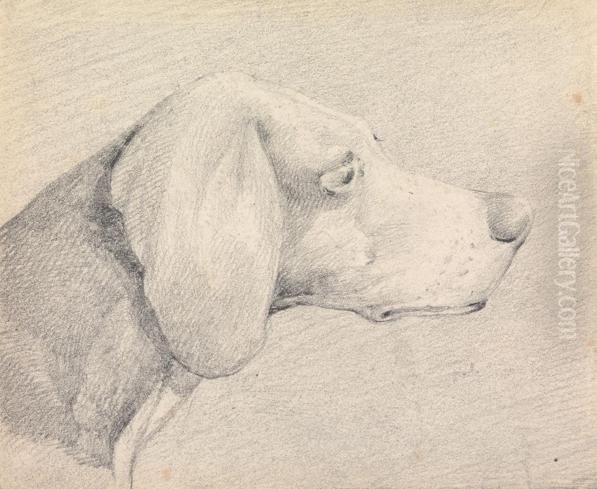 Head of a Foxhound, in Profile Right Oil Painting by Henry Thomas Alken