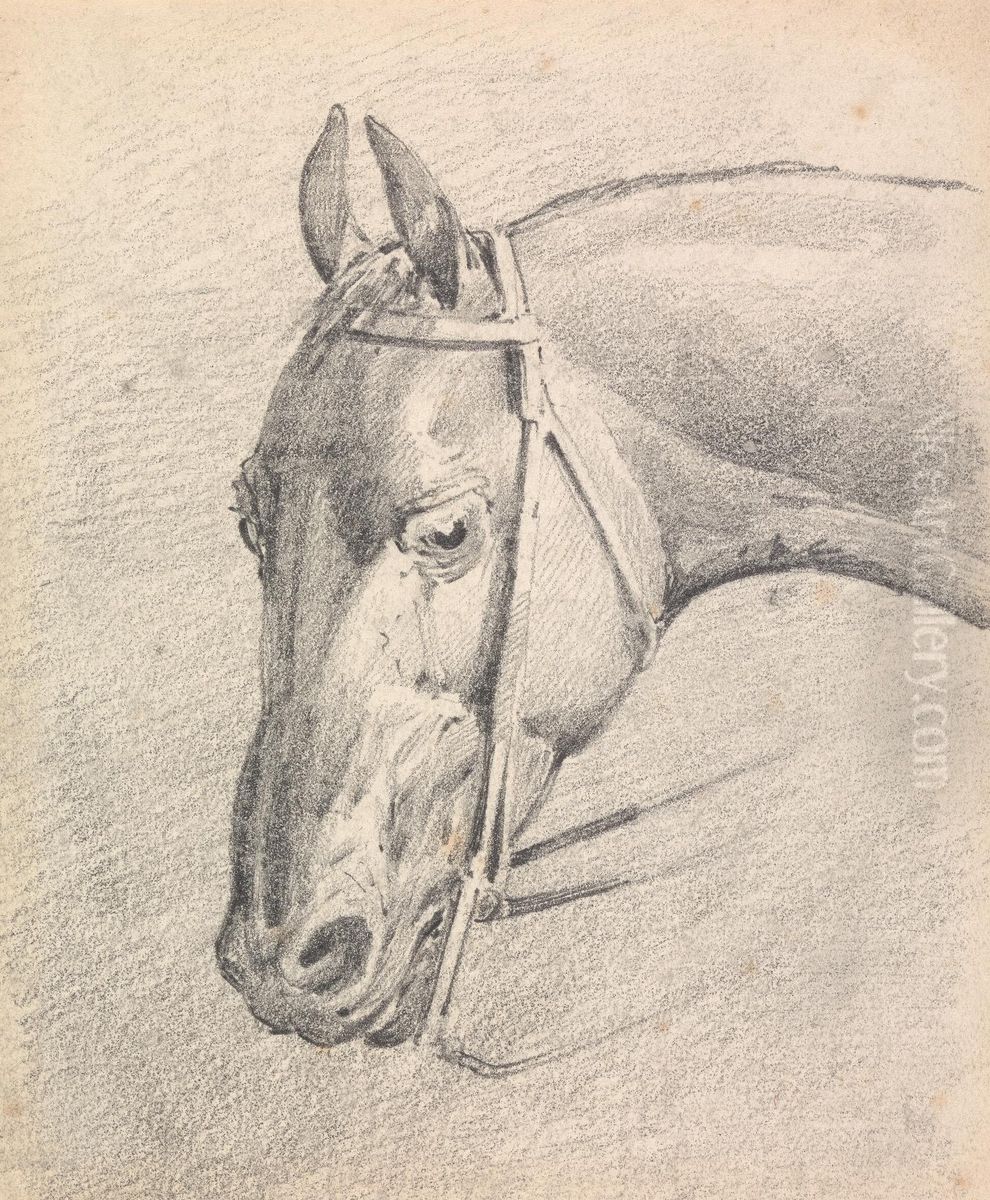 Head of a Horse Wearing a Bridle Oil Painting by Henry Thomas Alken