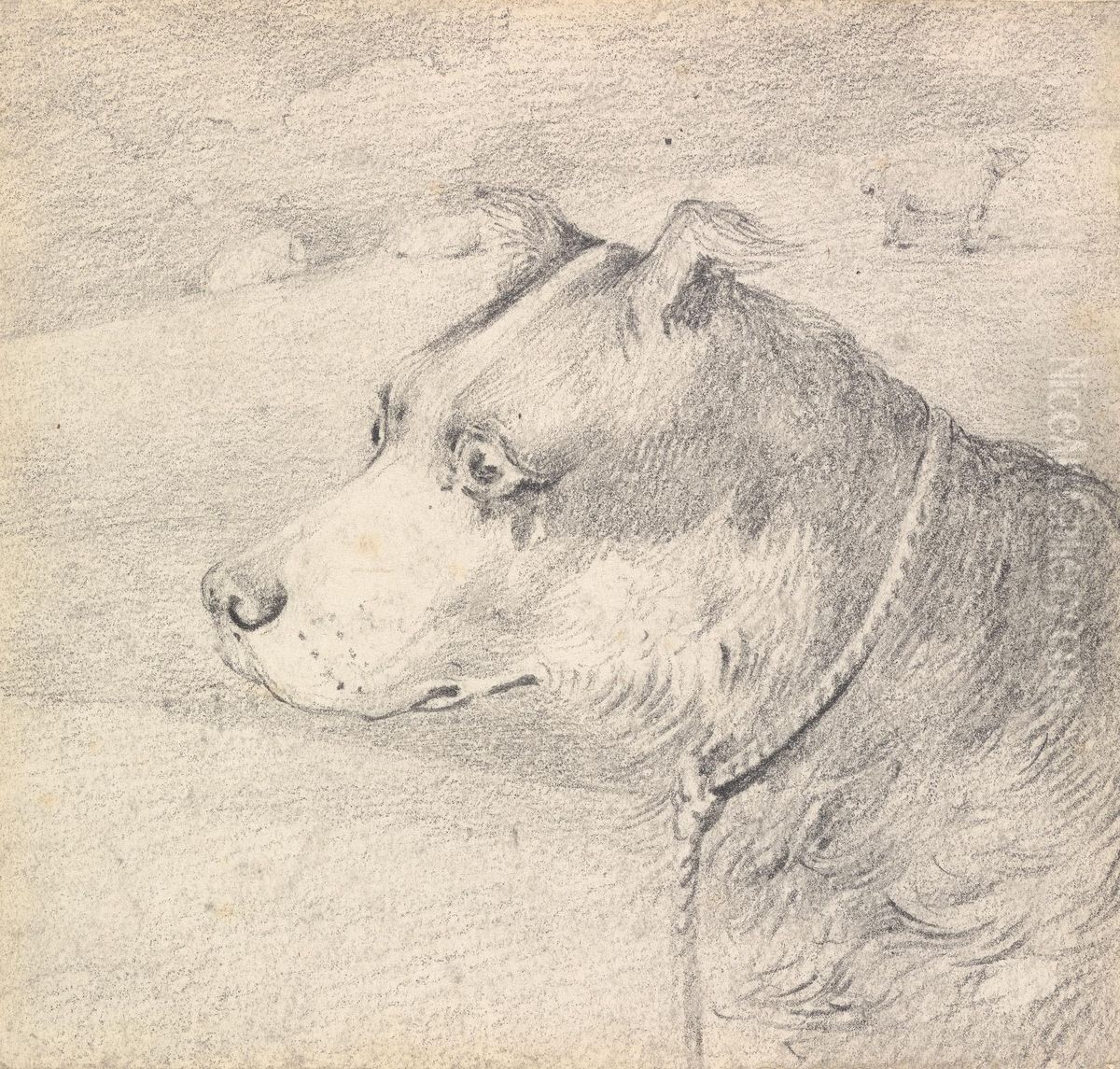 Head and Shoulders of a Collie Dog, Wearing a Leash or Tether, Sketchy Sheep in Background Oil Painting by Henry Thomas Alken