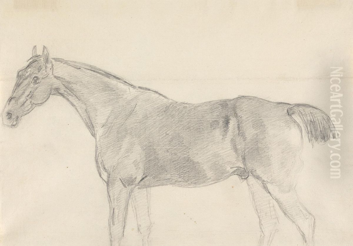 A Horse, Facing Left Oil Painting by Sawrey Gilpin