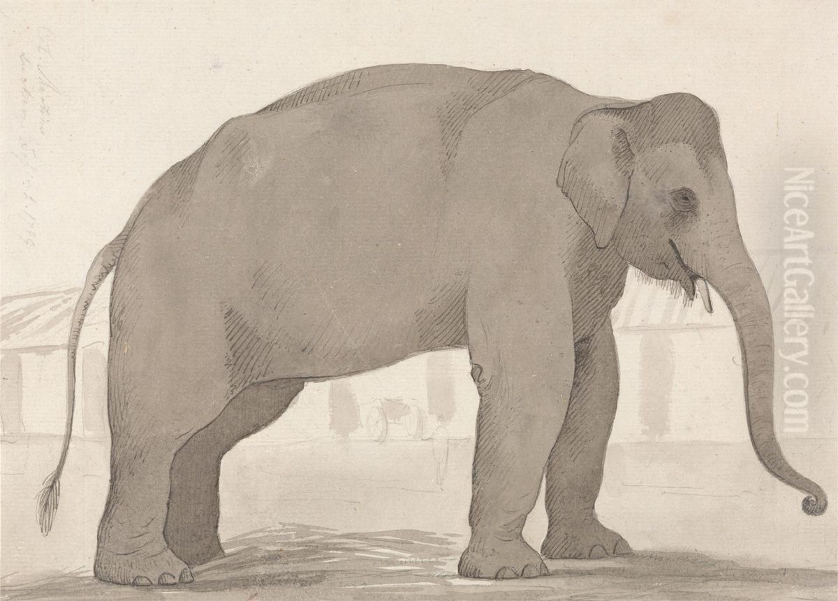 An Indian Elephant at Lucknow, September 1, 1789 Oil Painting by William Daniell RA