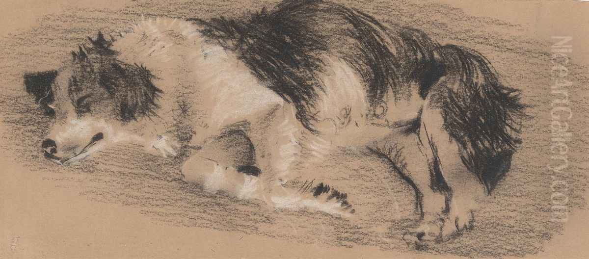 Sheep Dog Sleeping Oil Painting by Sir Edwin Henry Landseer