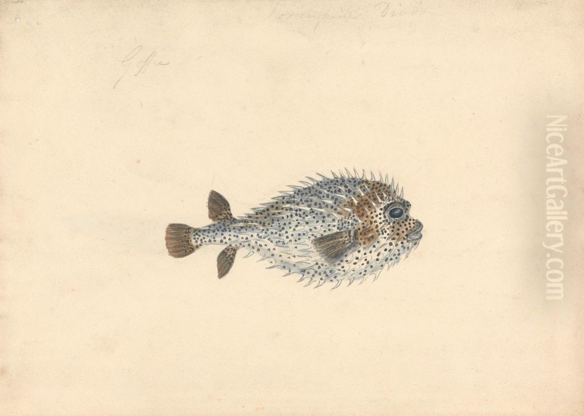 A Porcupine Fish Oil Painting by John Smart