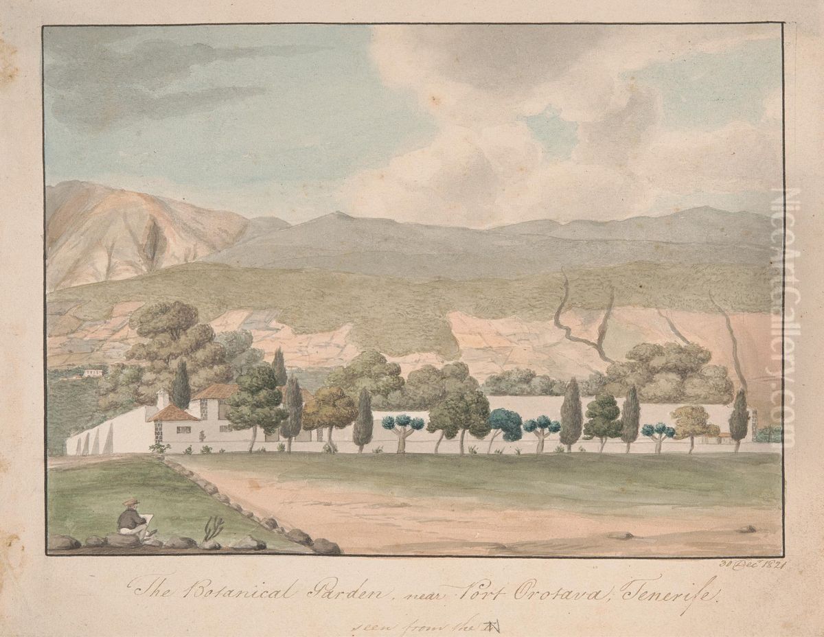 The Botanical Garden near Port Orotava, Tenerife Oil Painting by Alfred Diston