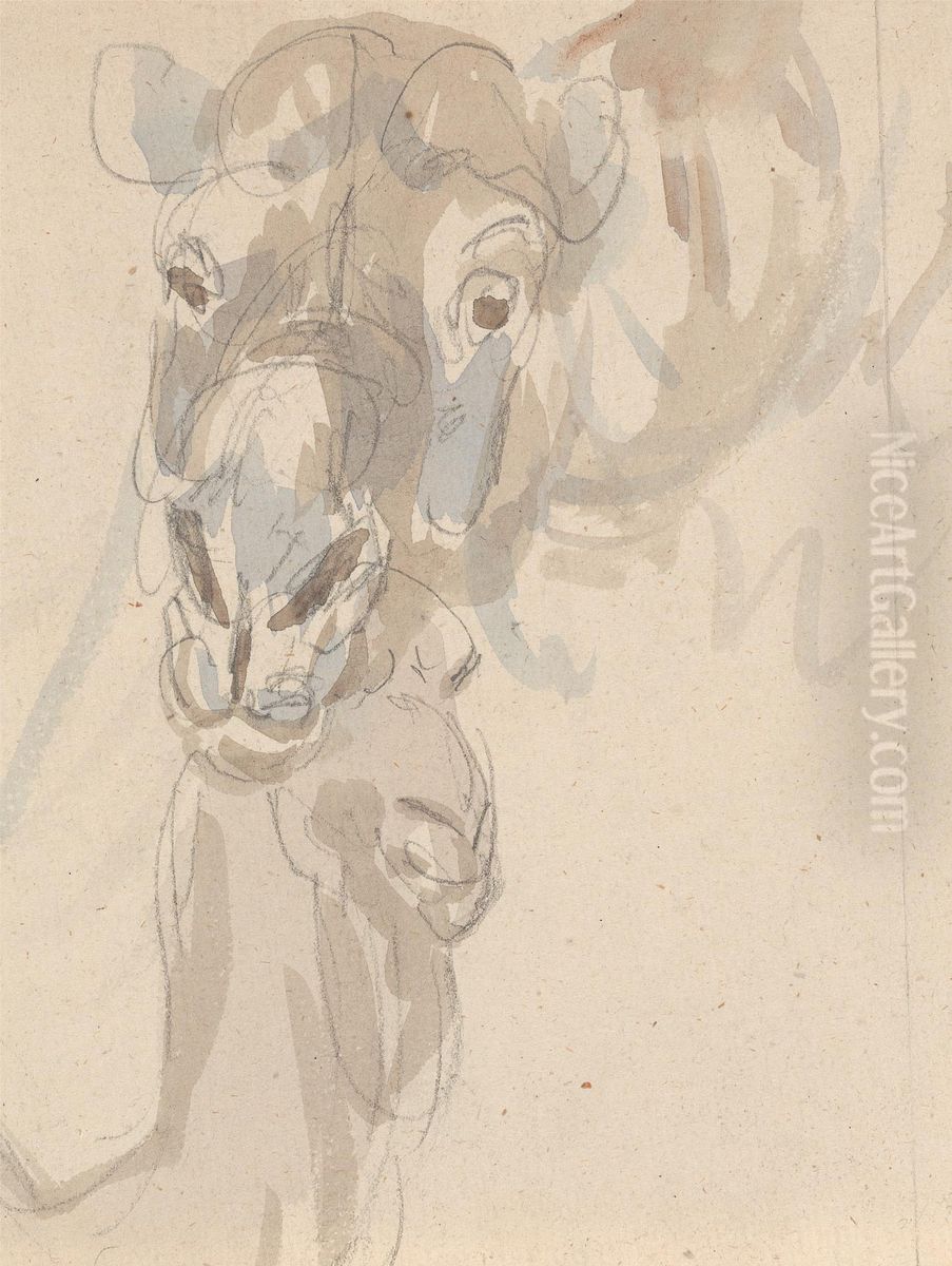 Study of a camel's head Oil Painting by Sawrey Gilpin