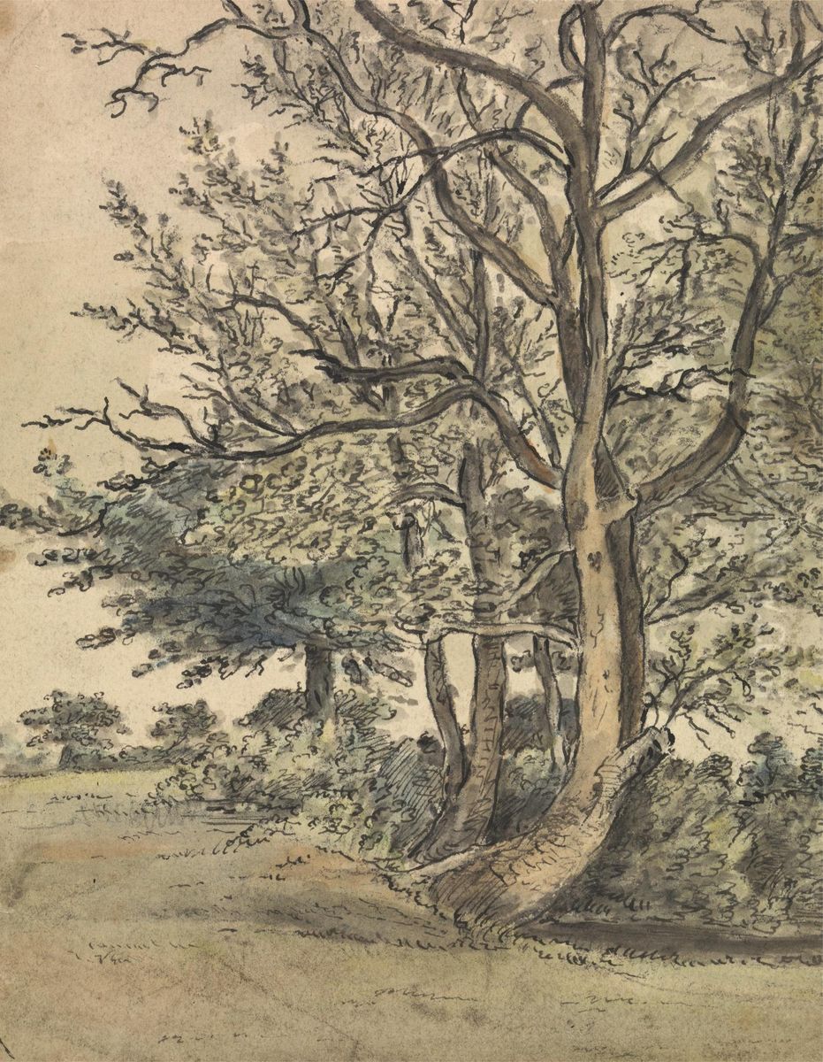 Part of Regent's Park Oil Painting by Patrick Nasmyth