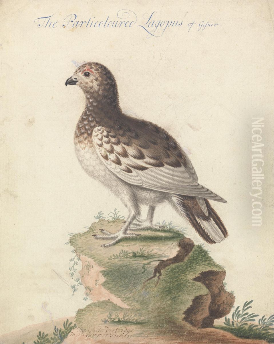 Ptarmigan Oil Painting by George Edwards