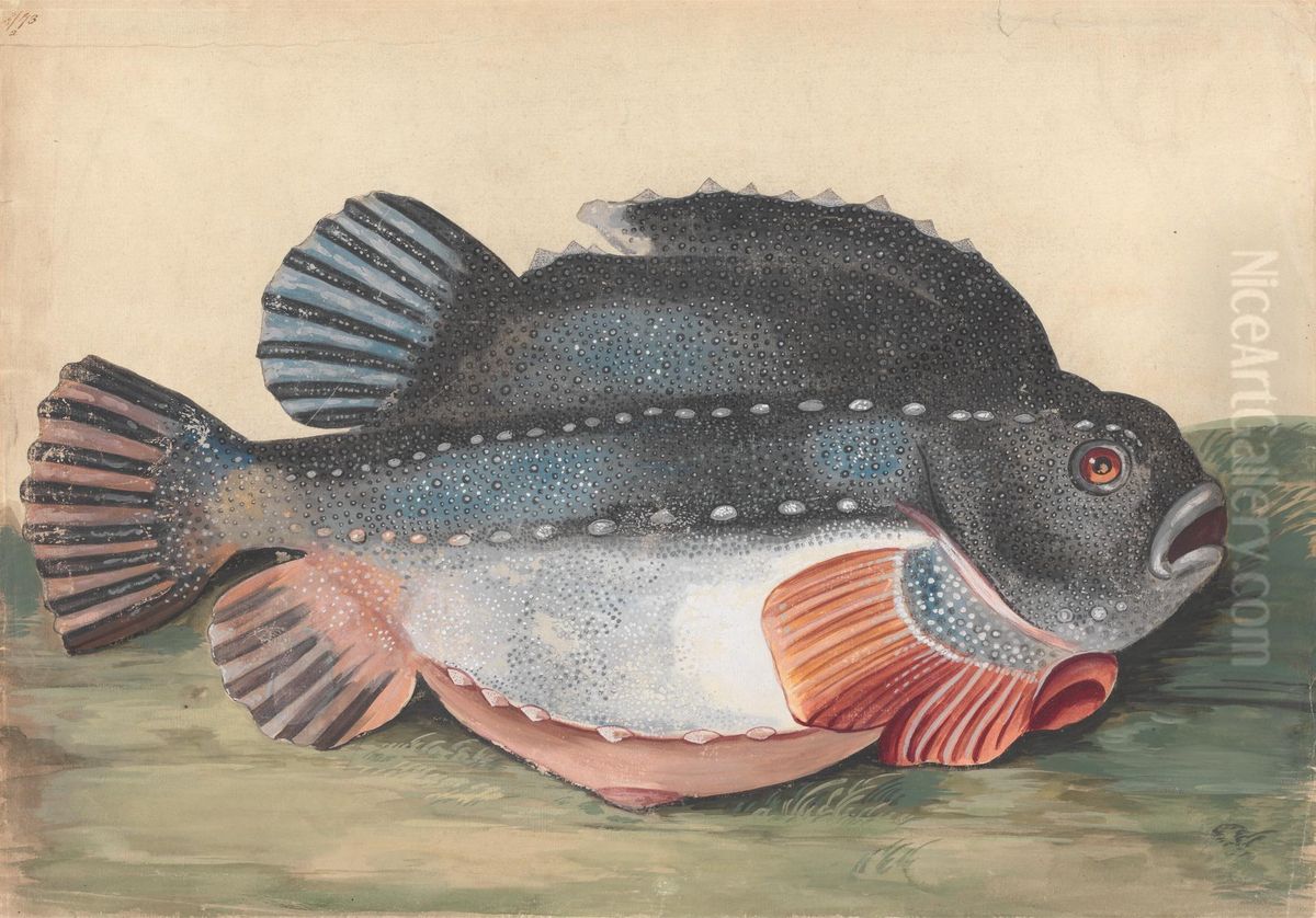 Lumpsucker (Male) Oil Painting by Peter Paillou