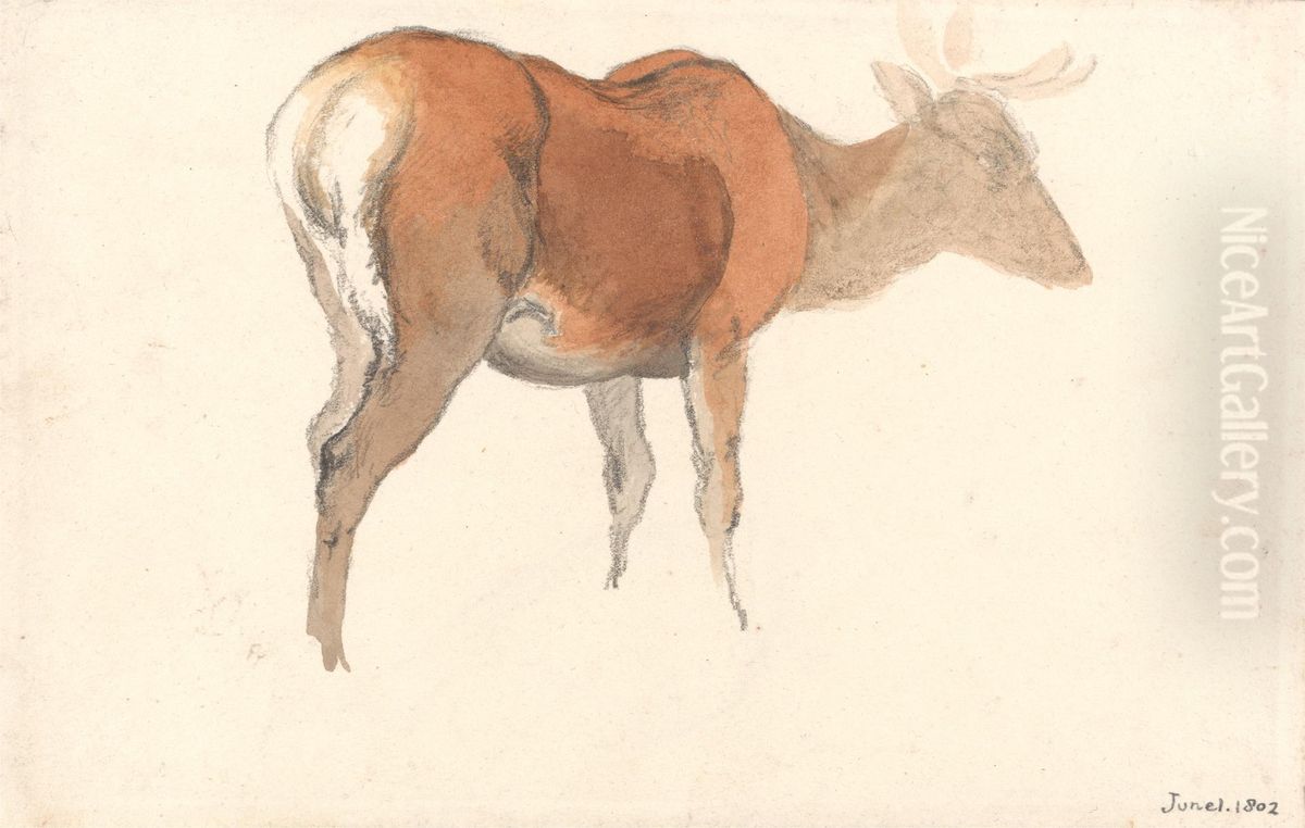 A Stag Oil Painting by Robert Hills