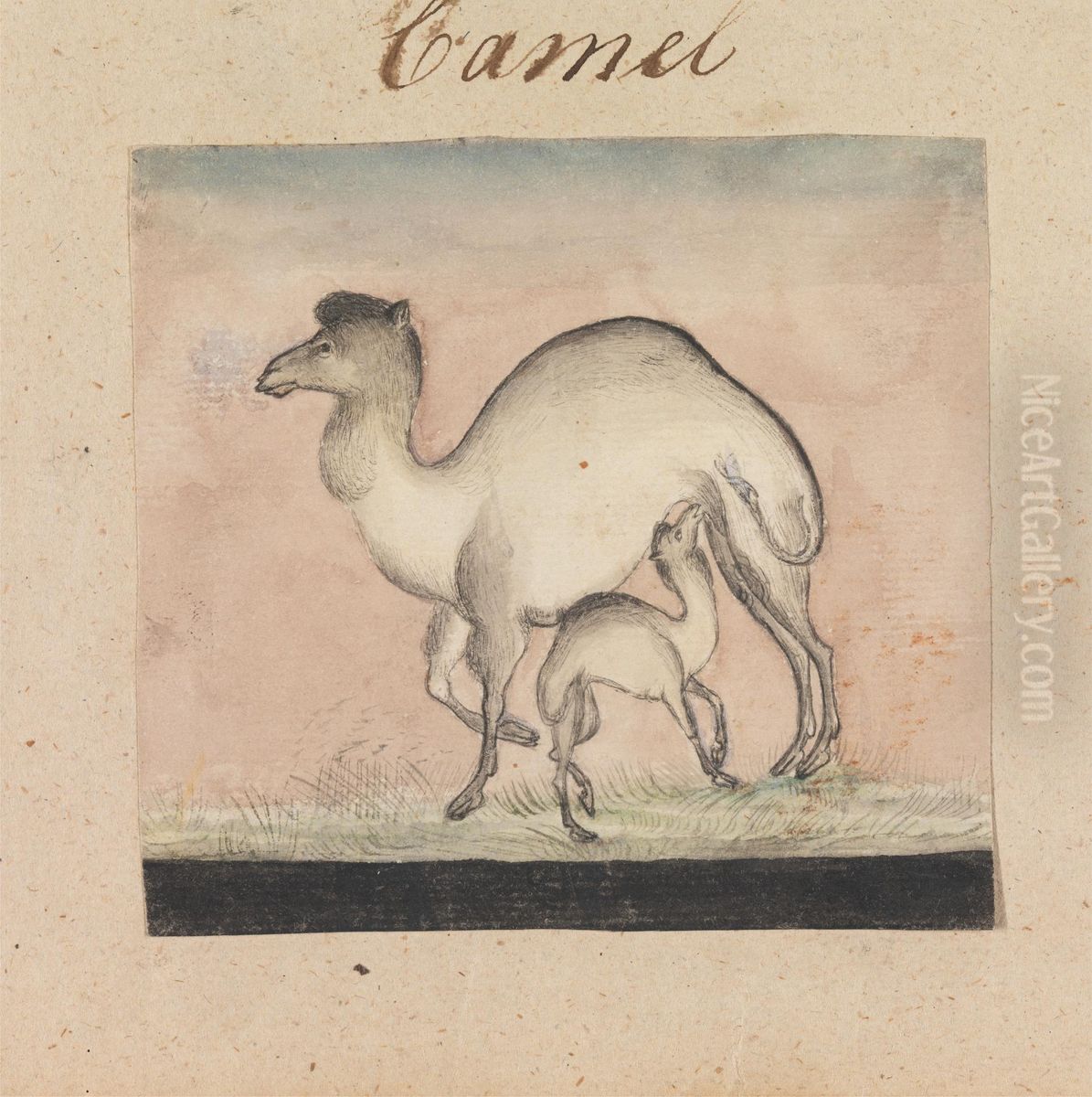 Mother Camel and her Calf Oil Painting by Gangaram Chintaman Tambat