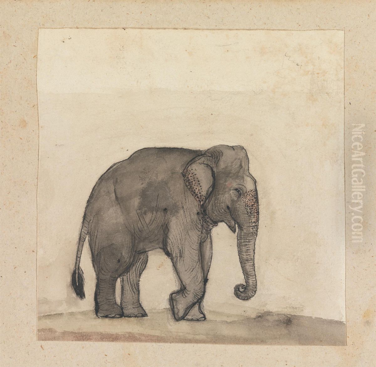 Elephant Oil Painting by Gangaram Chintaman Tambat