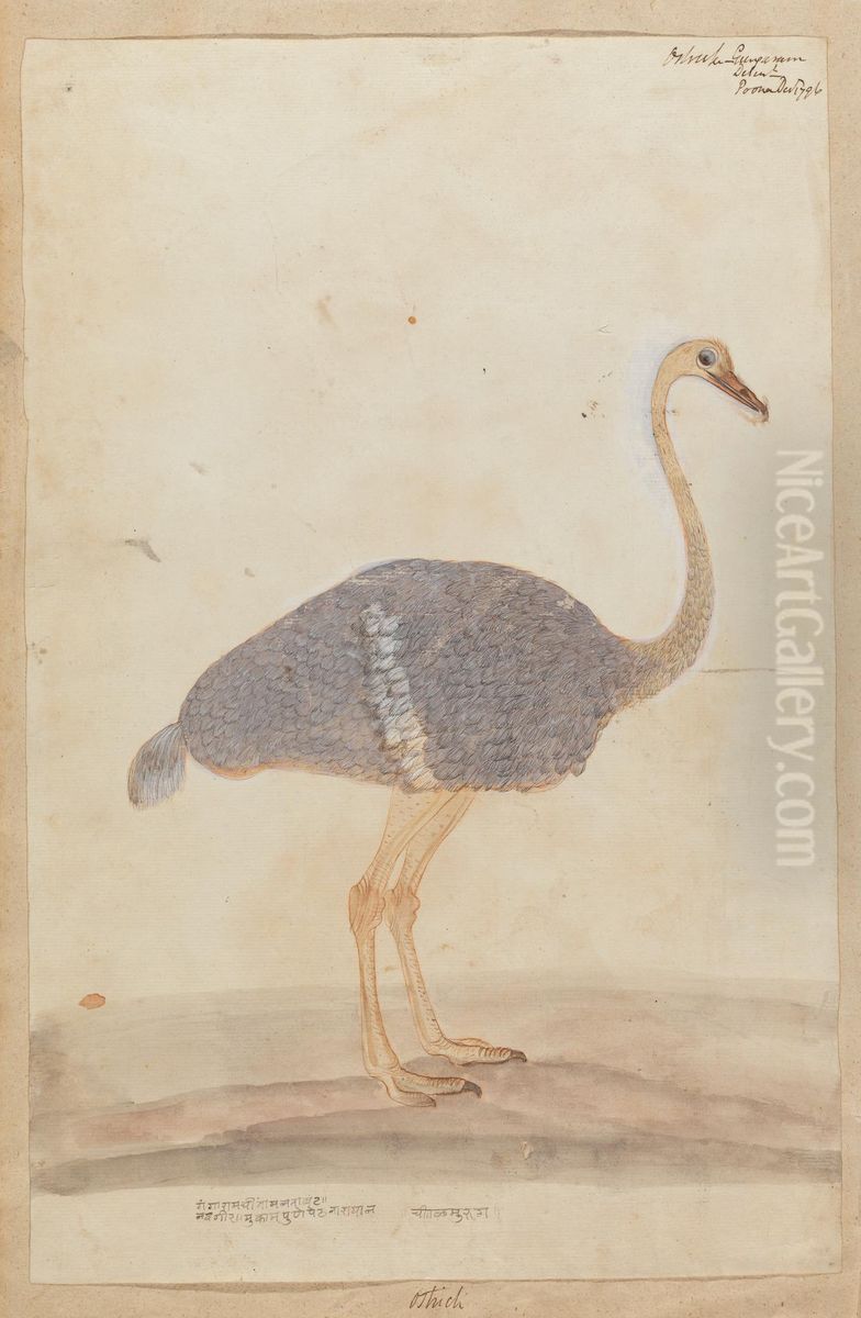 Ostrich Oil Painting by Gangaram Chintaman Tambat