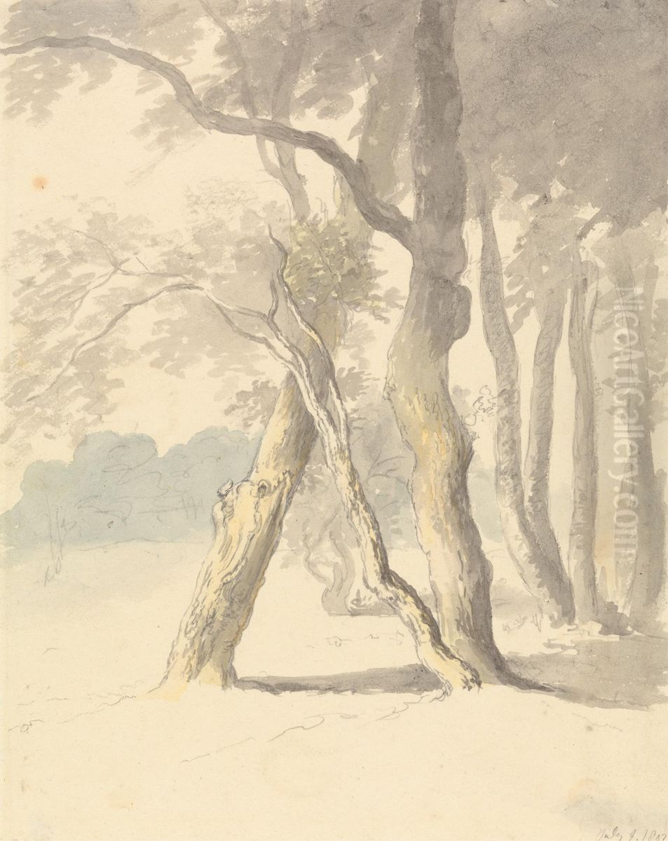 Woodland Study Oil Painting by Robert Hills