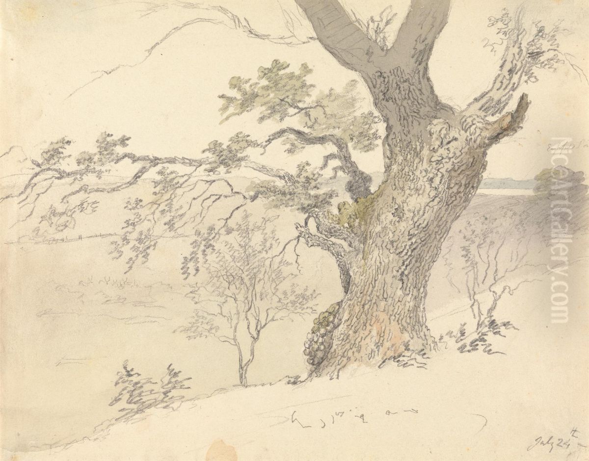 An Oak in Englefield Park Oil Painting by Robert Hills