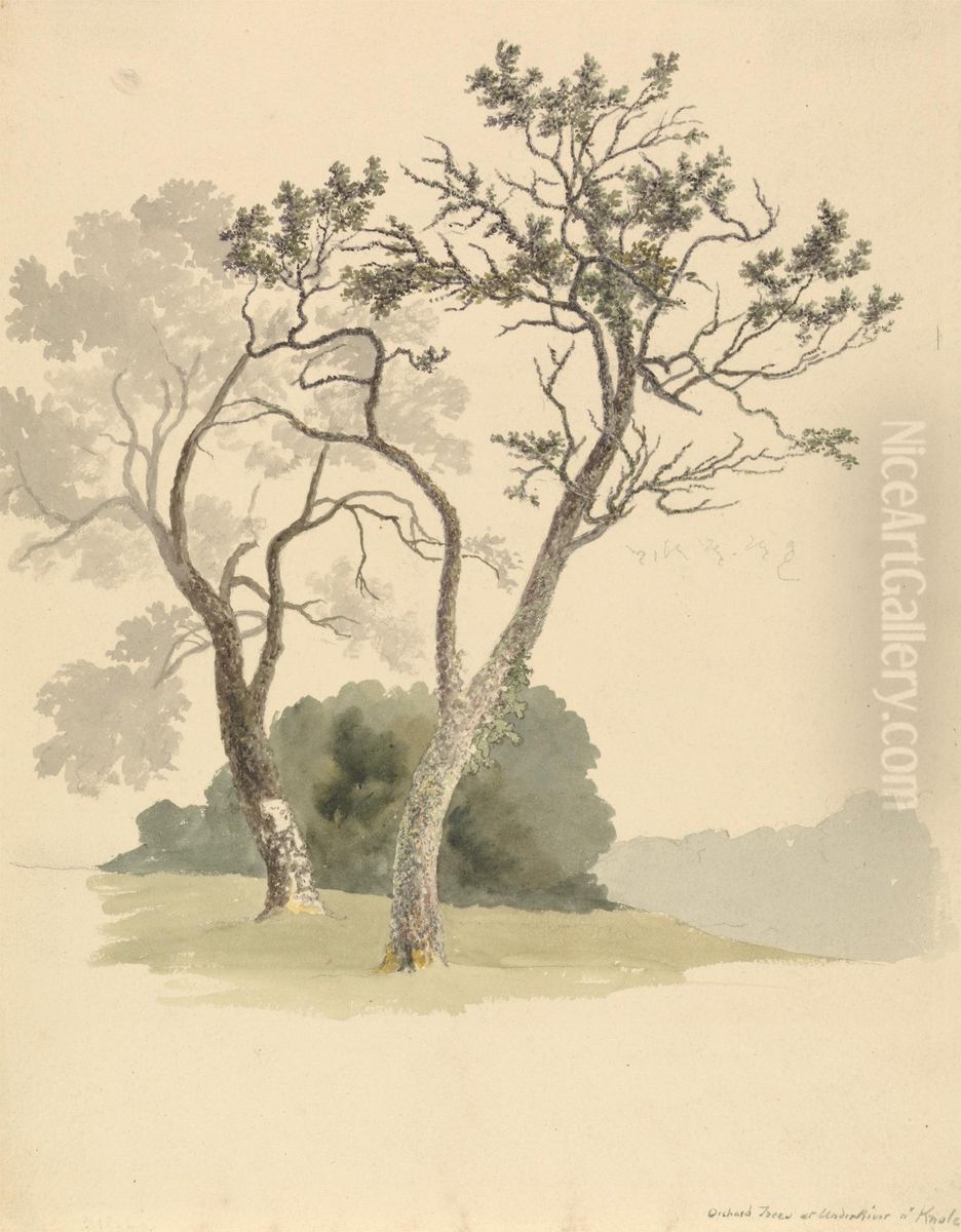 Orchard Trees at Under River near Knole Oil Painting by Robert Hills