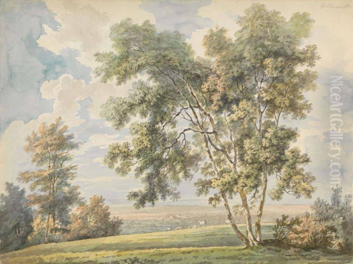 Landscape with Trees and Sheep (Park Landscape with Sheep) Oil Painting by George Barret, Sr.