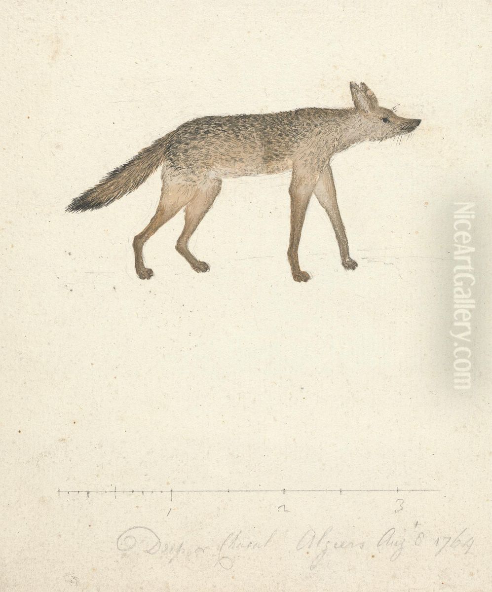 Wolf Oil Painting by James Bruce