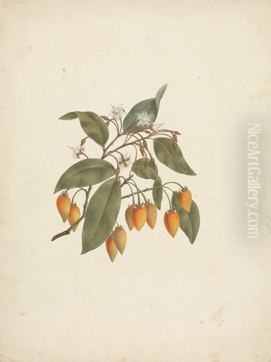 finished drawing with some flowers Oil Painting by James Bruce