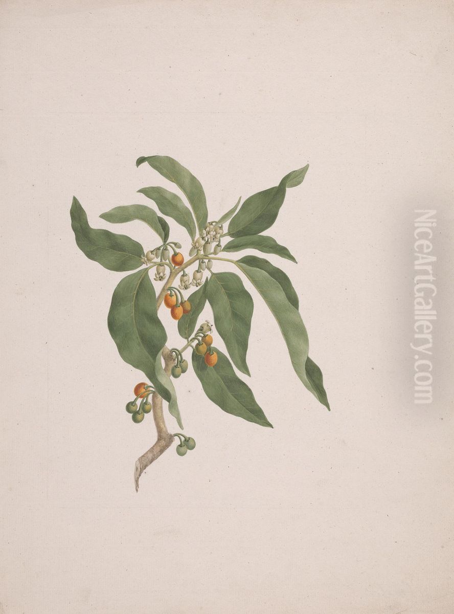 finished drawing Oil Painting by James Bruce