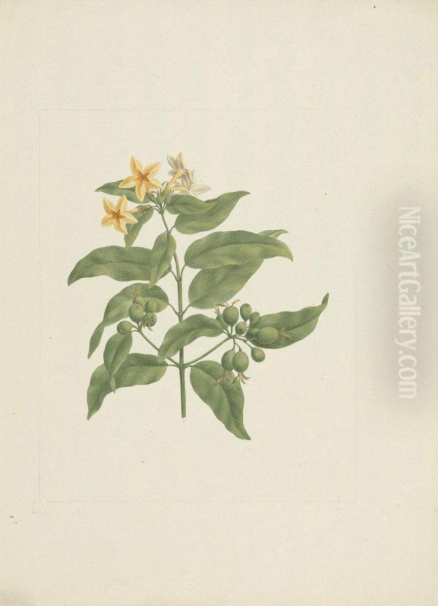 finished drawing without details Oil Painting by James Bruce