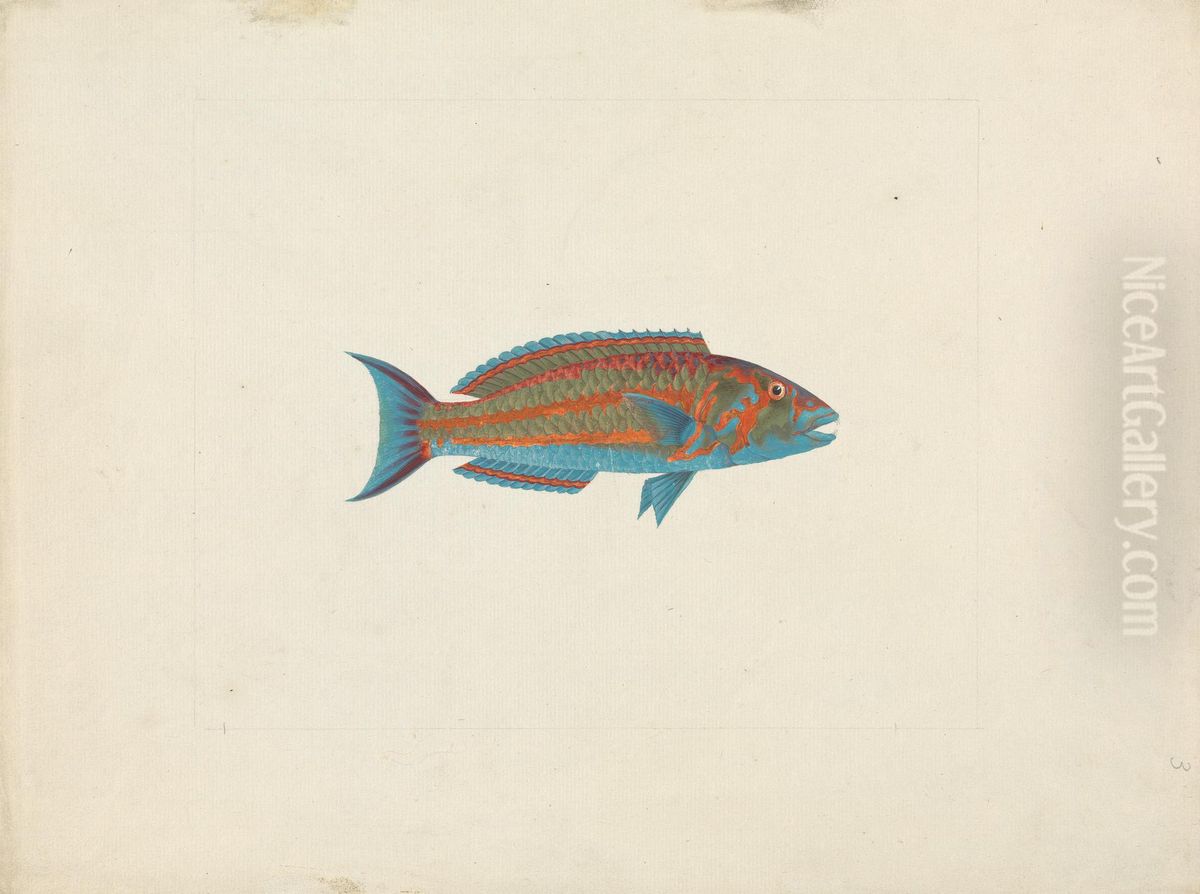 Unidentified Fish Oil Painting by James Bruce