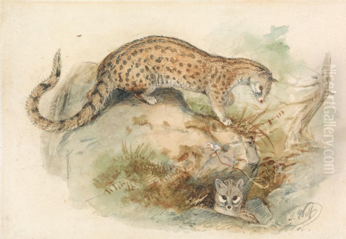 Genets Oil Painting by Joseph Wolf