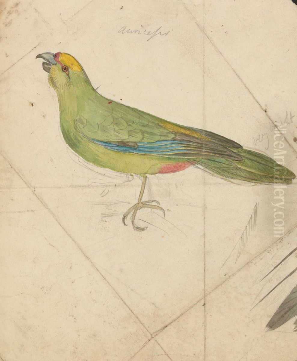 A Parrot Oil Painting by James De Carle Sowerby