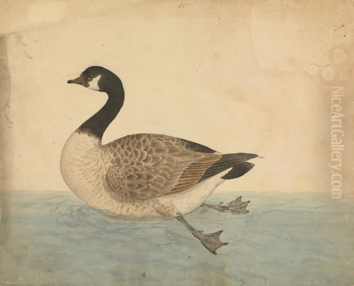 A Goose Oil Painting by James Sowerby