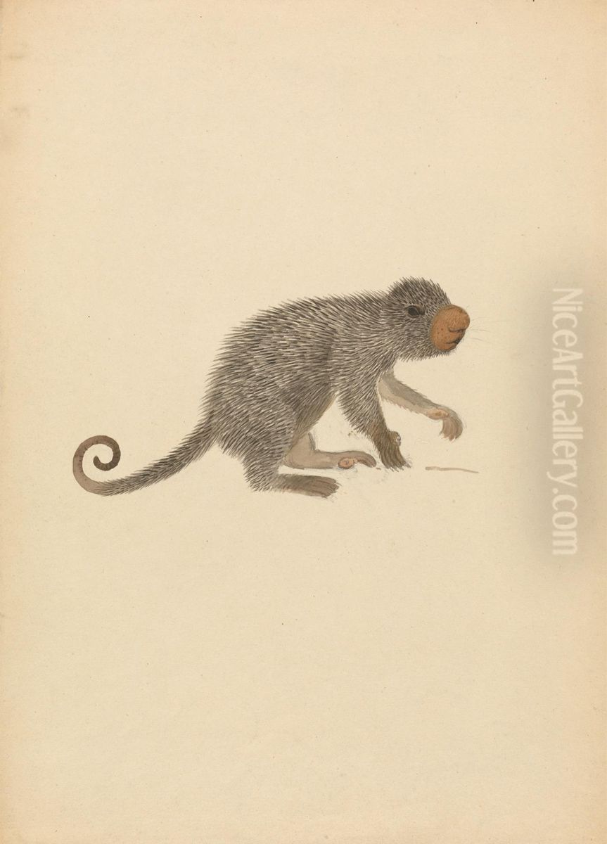 South American Porcupine Oil Painting by James Sowerby