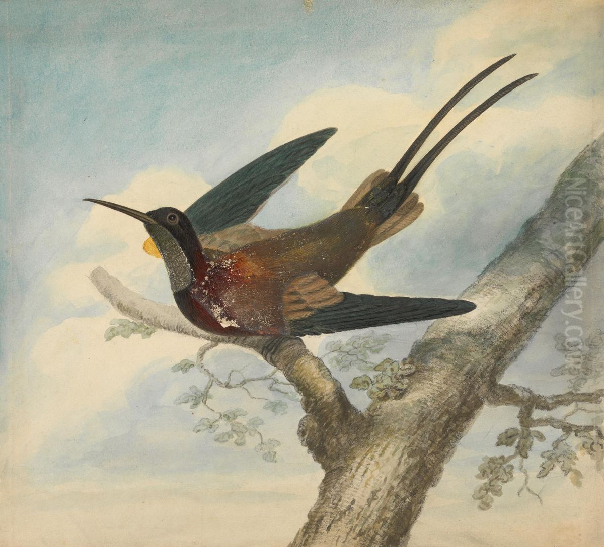 Sketch of a Flower Oil Painting by James Sowerby