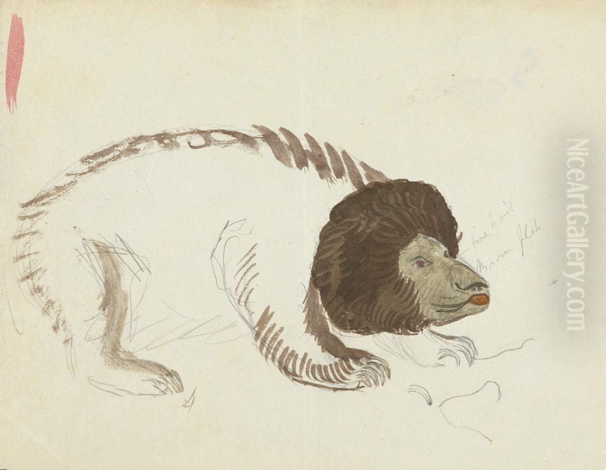 A Bear Oil Painting by James Sowerby