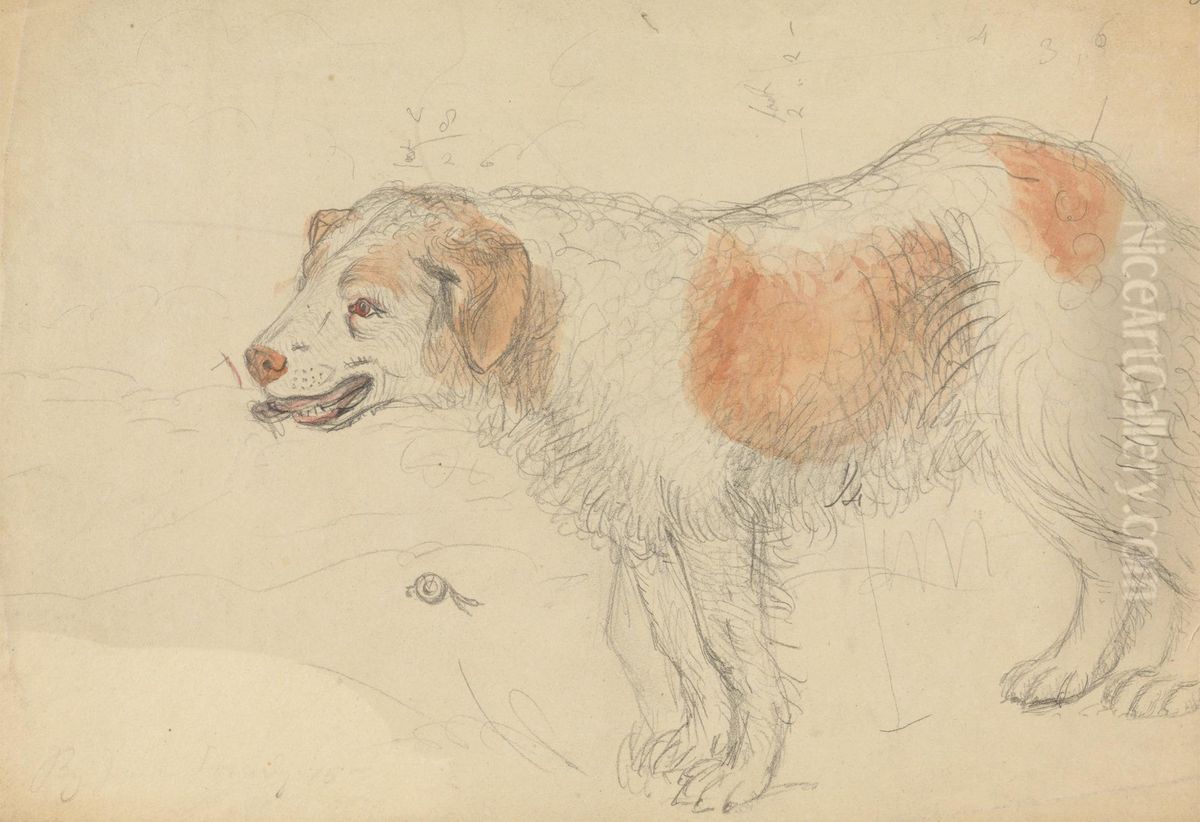 A Dog Oil Painting by James Sowerby