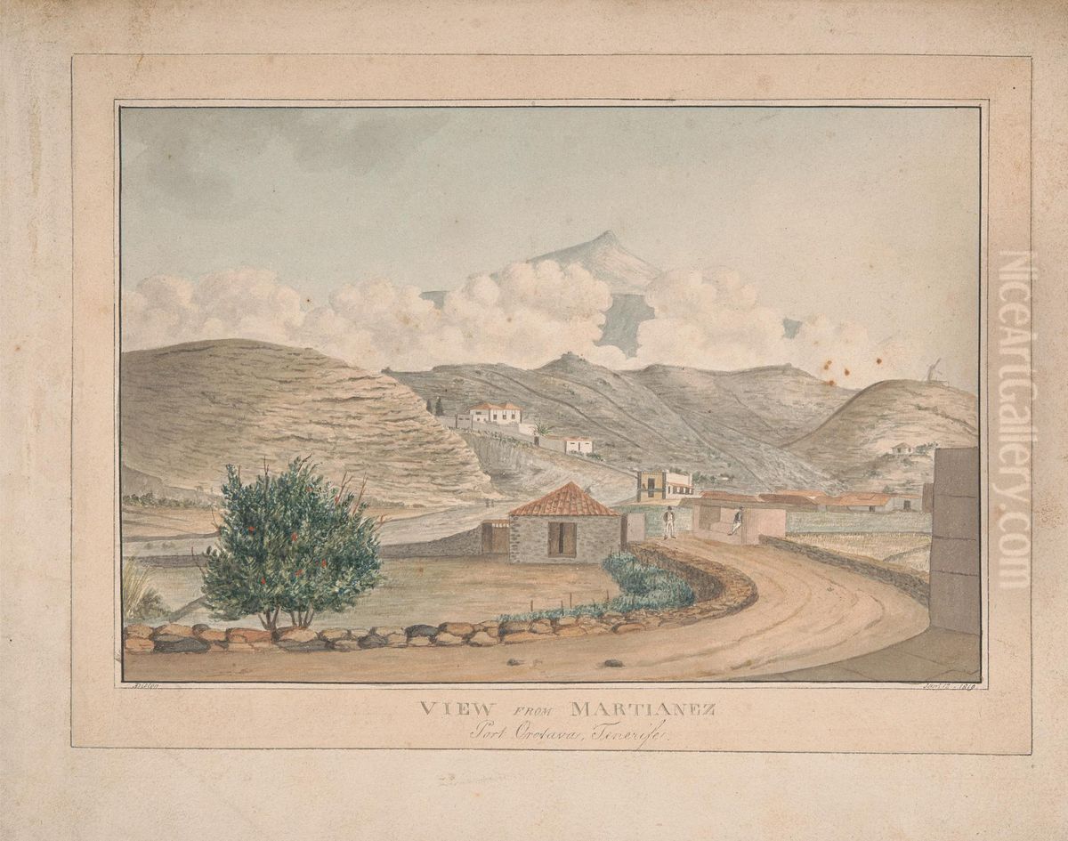 View from Martianez, Port Orotava, Tenerife Oil Painting by Alfred Diston