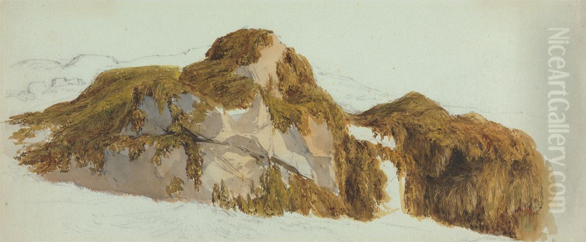 Study of Rocks Covered with Seaweed Oil Painting by Edward Duncan