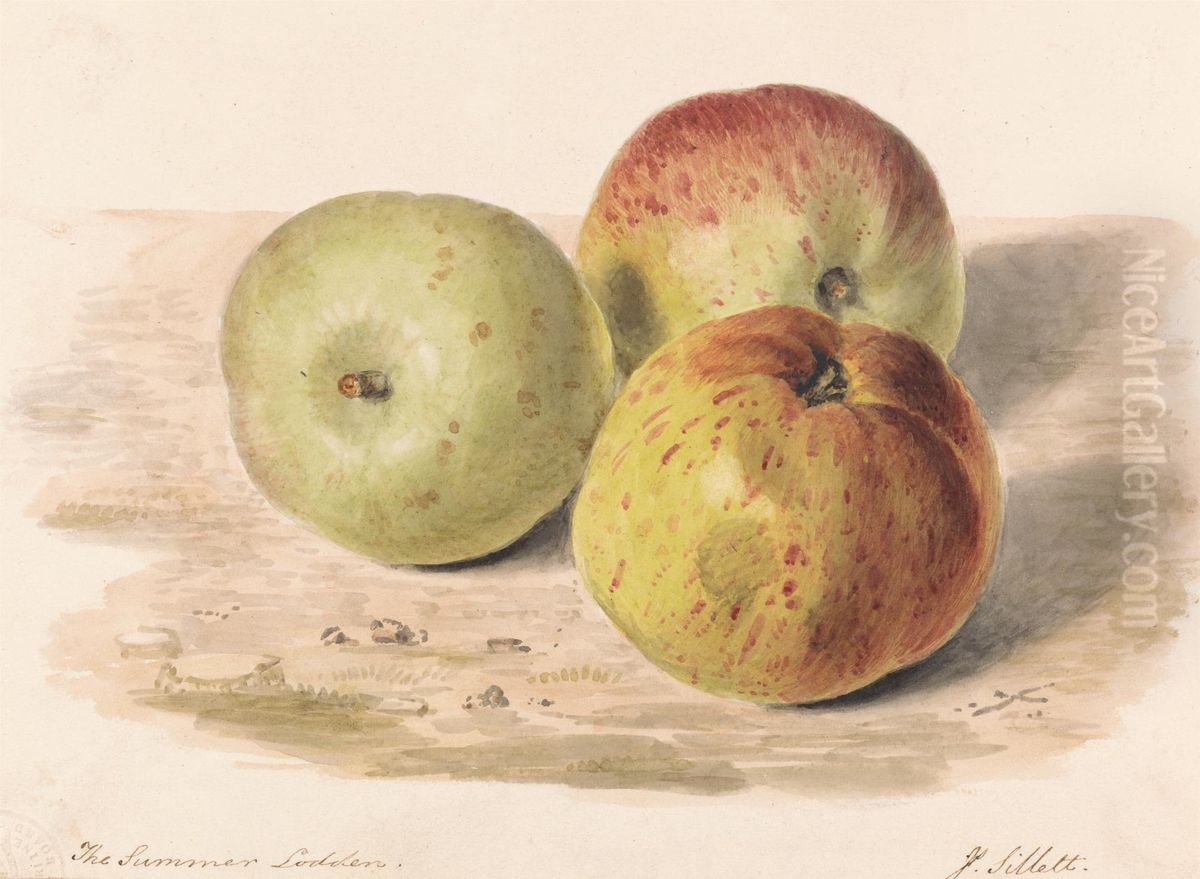 A Still Life Study of Three Apples Oil Painting by James Sillett