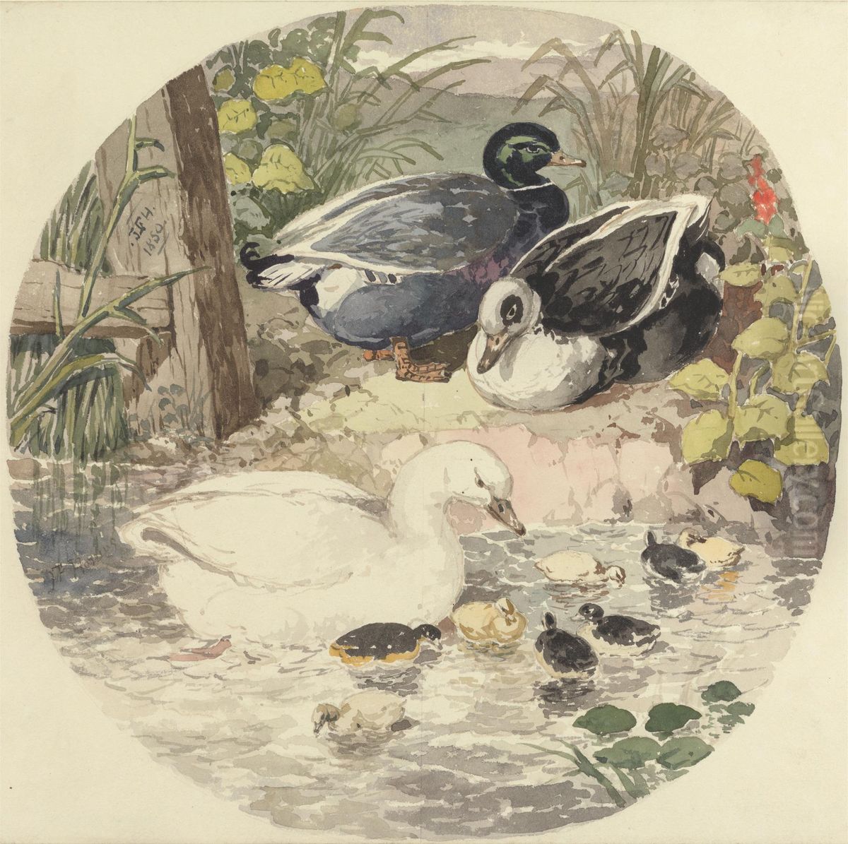 Ducks Oil Painting by John Frederick Herring, Sr.
