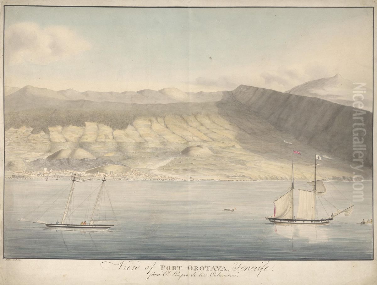 View of Port Orotava, Tenerife, from El Limpio de Las Calaveras Oil Painting by Alfred Diston