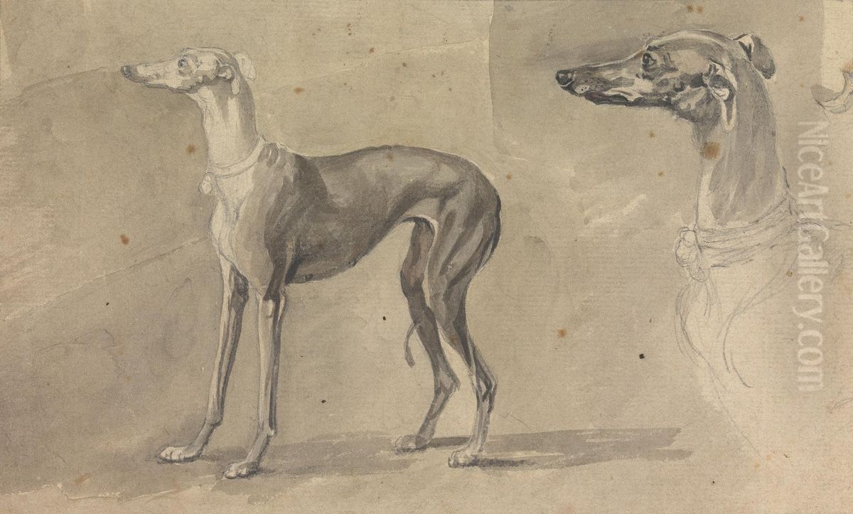 A Greyhound Oil Painting by Sawrey Gilpin