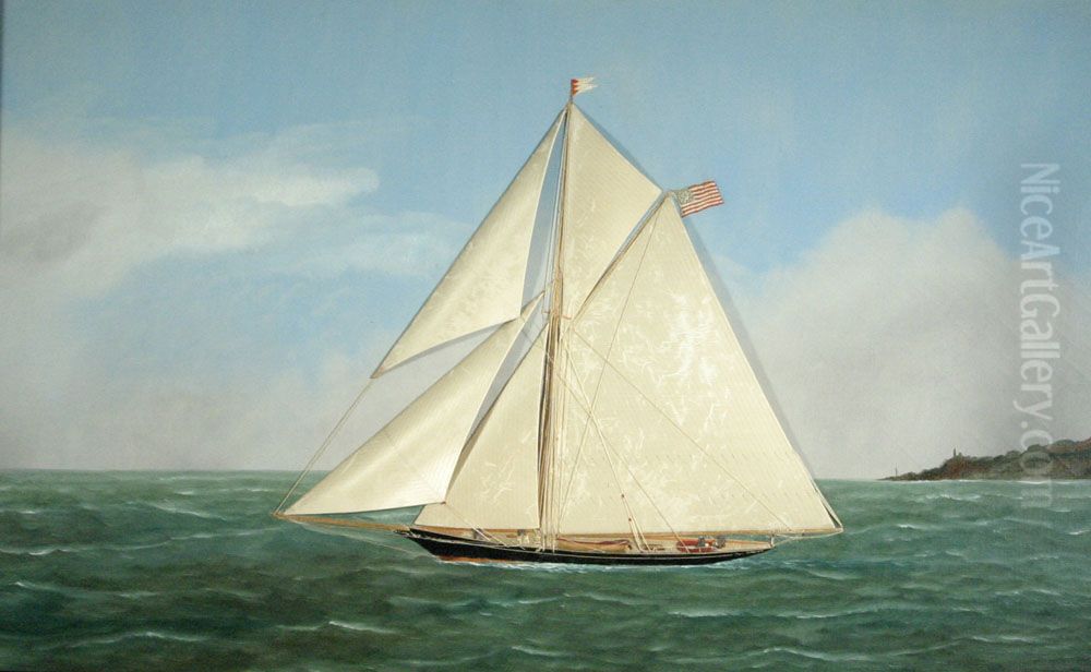 Yacht Liris, New York Sloop Oil Painting by Thomas H. Willis