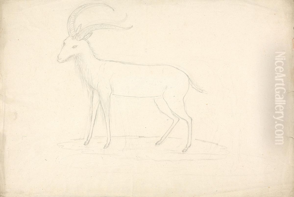 Unidentified Ungulate Oil Painting by James Bruce