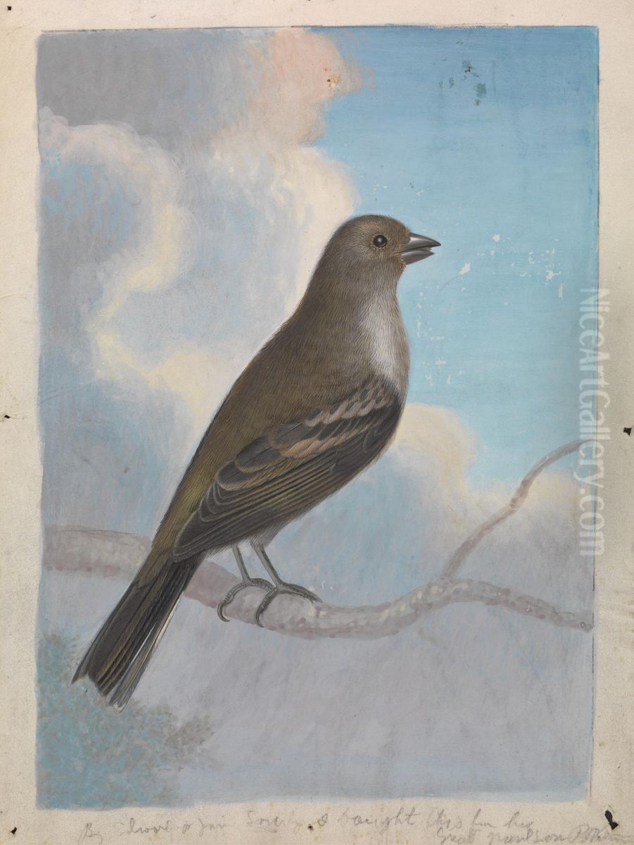 A Bird Oil Painting by James Sowerby