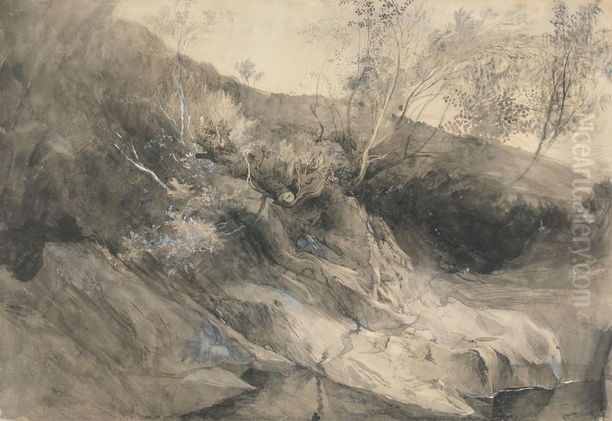 The Rocky Bank of a River Oil Painting by John Ruskin