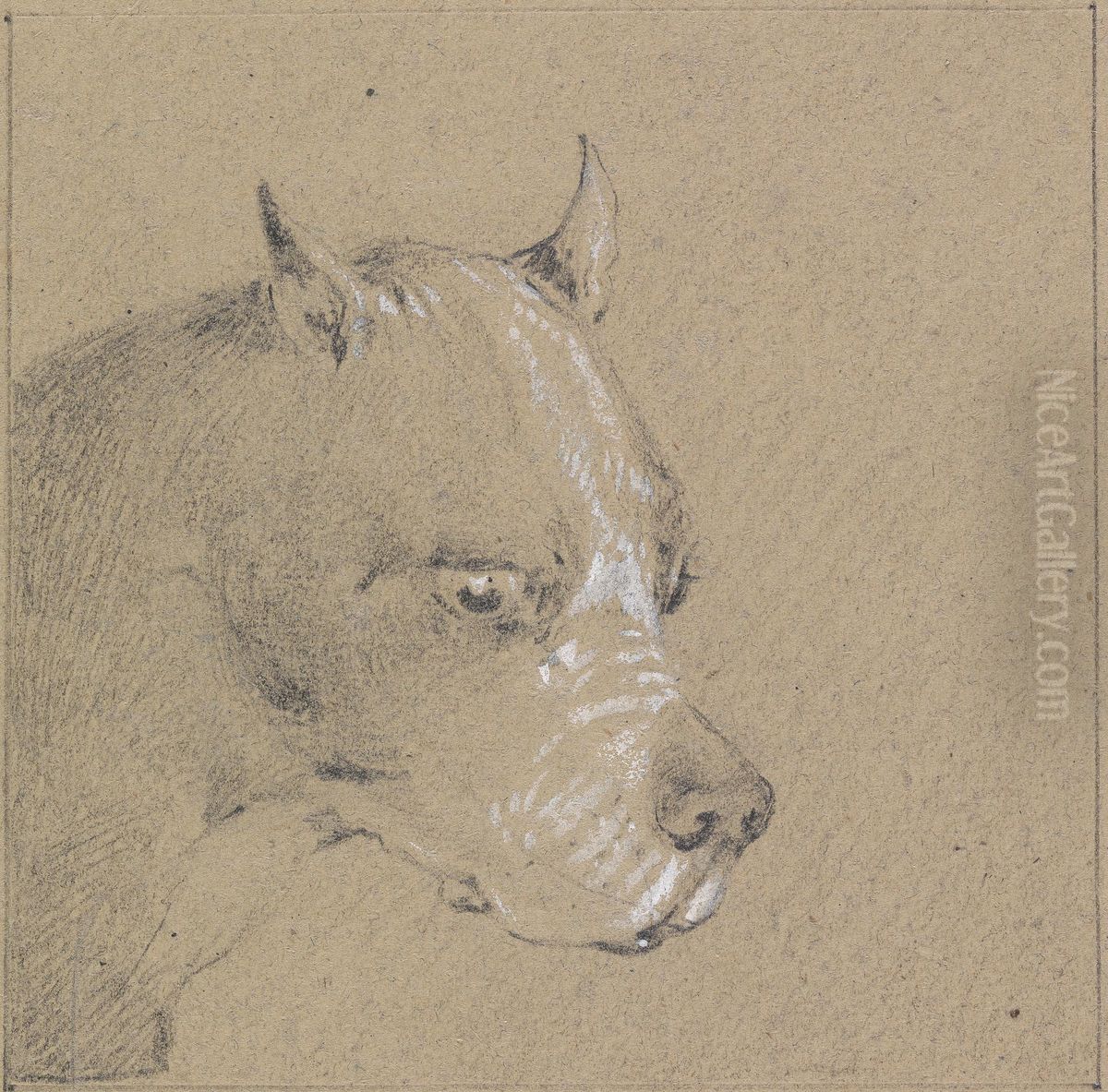 Head and Shoulders of a Boxer Dog, Profile Right Oil Painting by Henry Thomas Alken