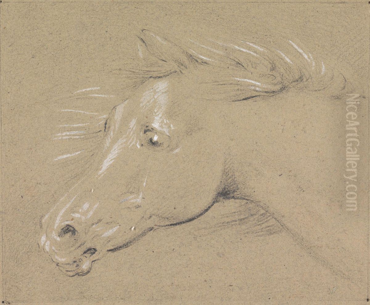 Head and Neck of a Frightened Horse, Left Profile Oil Painting by Henry Thomas Alken