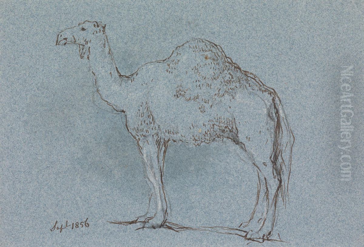 A Camel, Facing Left, Sept. 1856 Oil Painting by George Jones