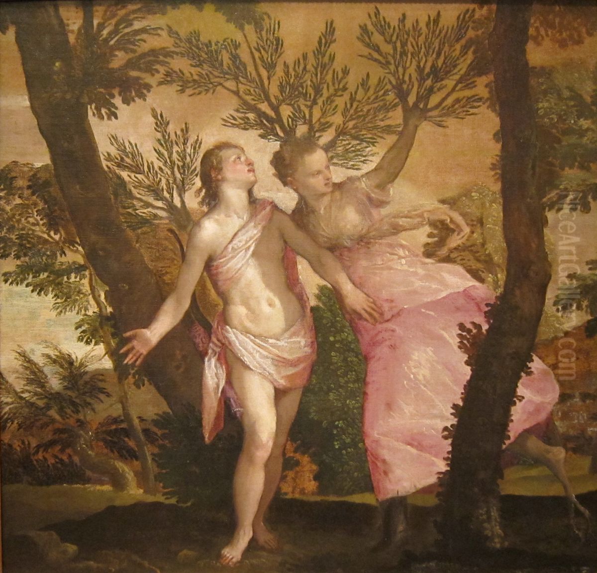 Apollo and Daphne Oil Painting by Paolo Veronese (Caliari)