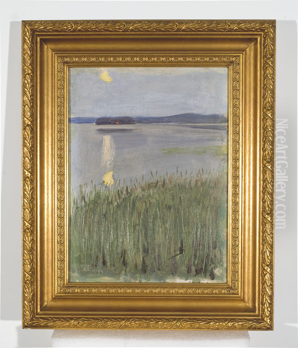 Lintulan ranta Keiteleella Oil Painting by Akseli Valdemar Gallen-Kallela