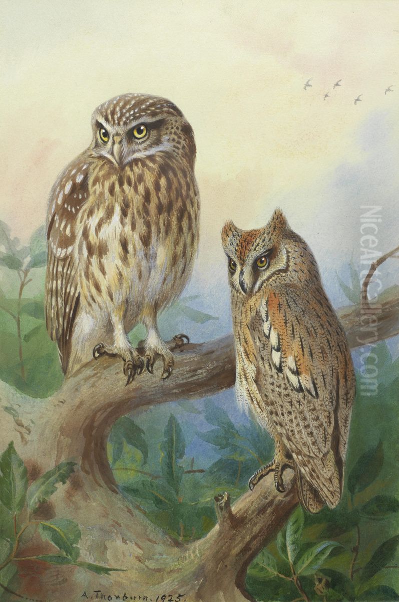 Little Owl and Scops Owl. Oil Painting by Archibald Thorburn