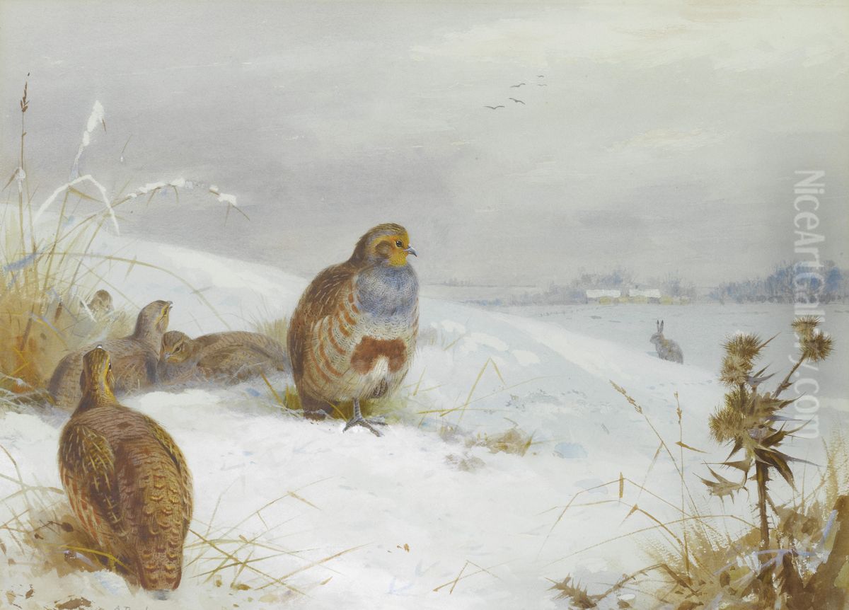 Hard times - partridges and a hare Oil Painting by Archibald Thorburn